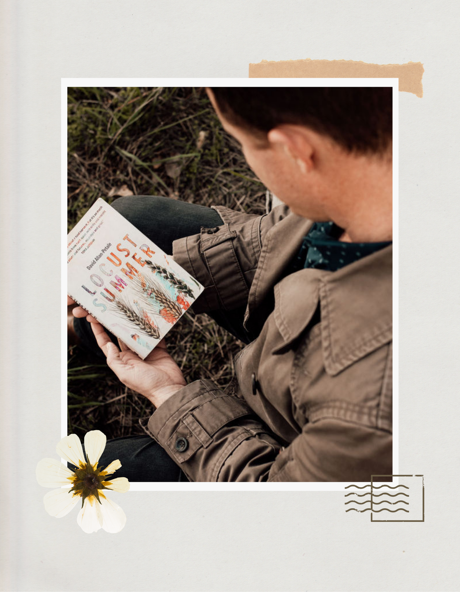 Locust Summer book